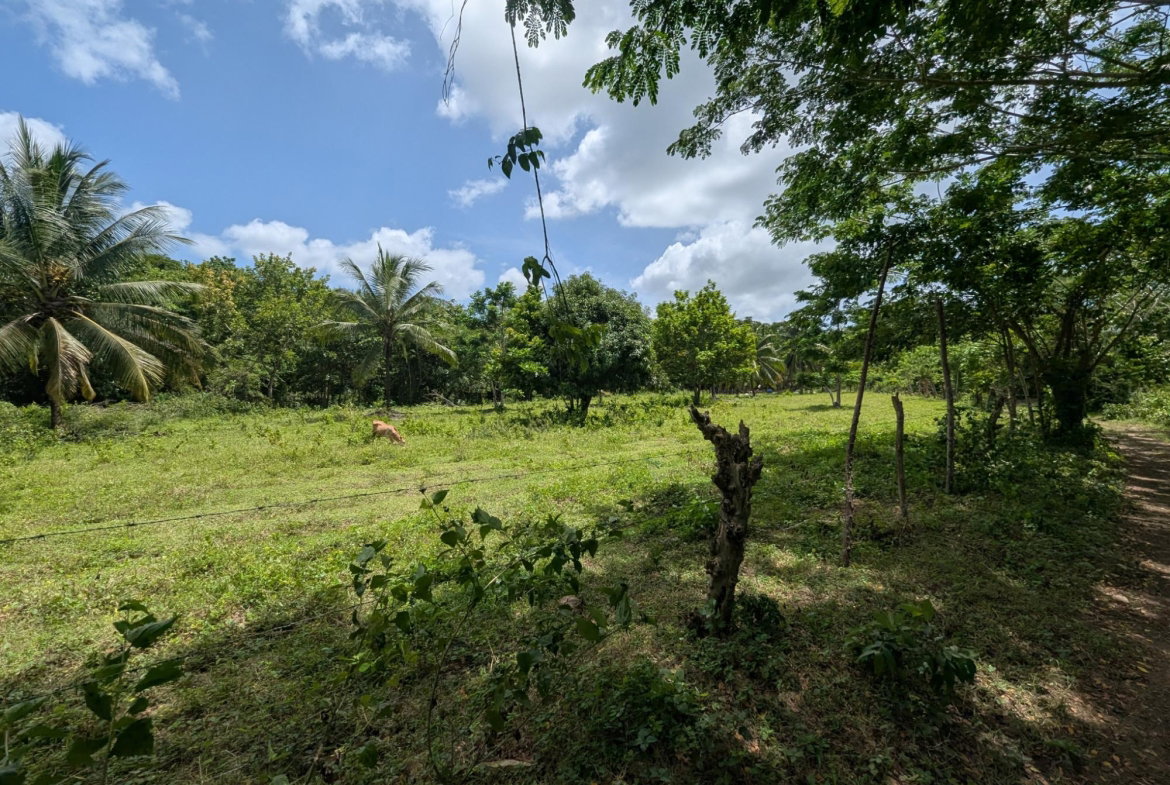 Fifth image of 15 Blue Mtn. Danvers Pen in Danvers Pen, St. Thomas, Jamaica - property is For Sale