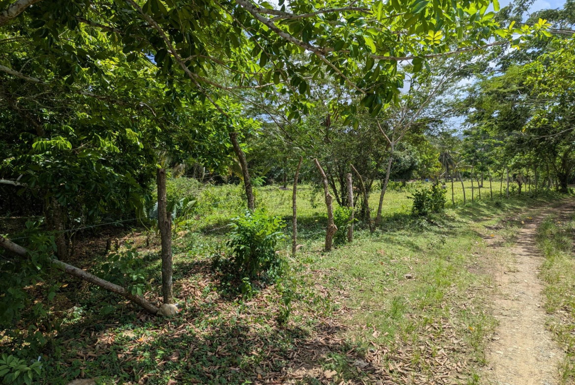 Sixth image of 15 Blue Mtn. Danvers Pen in Danvers Pen, St. Thomas, Jamaica - property is For Sale