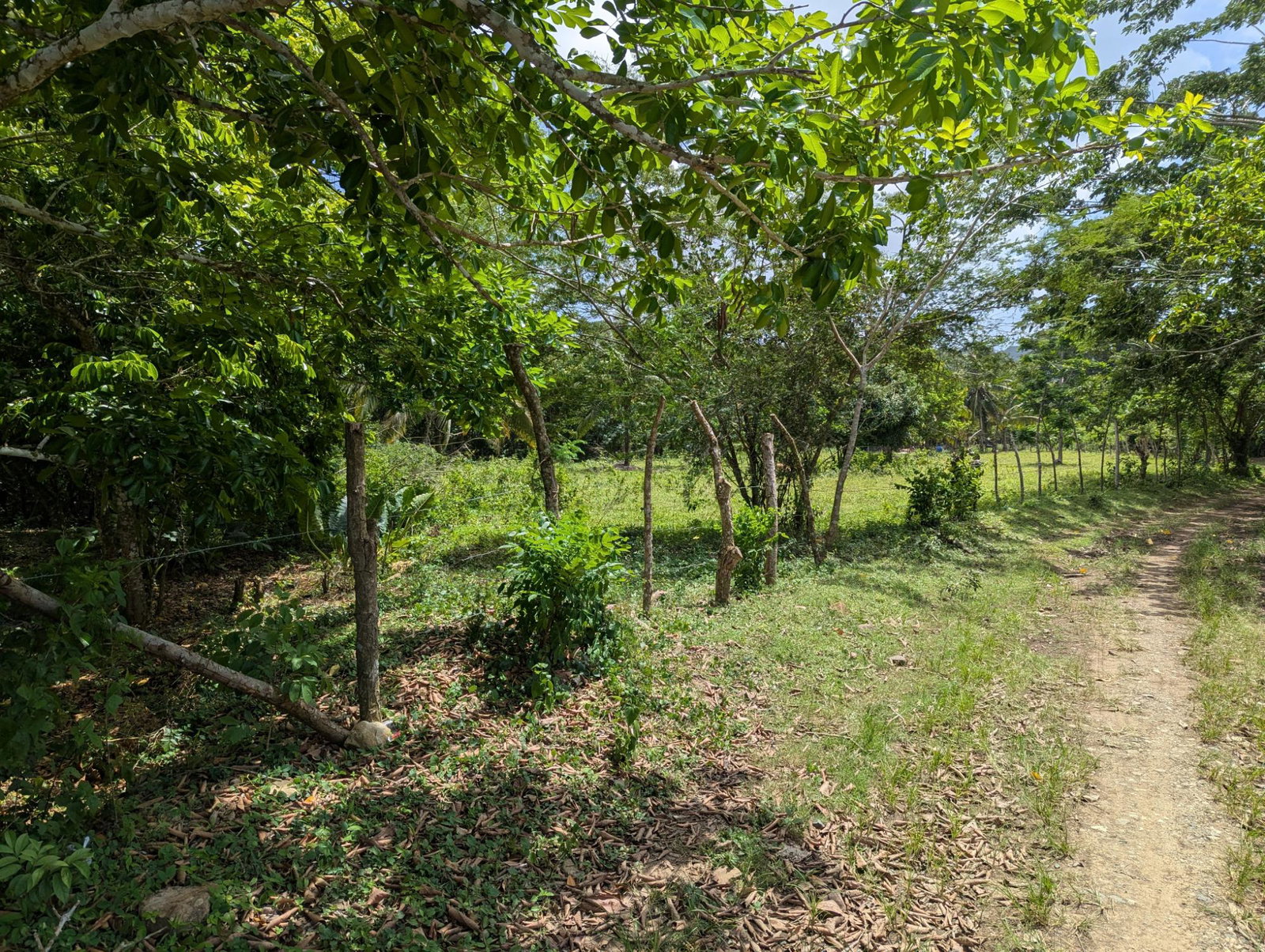 Sixth image of 15 Blue Mtn. Danvers Pen in Danvers Pen, St. Thomas, Jamaica - property is For Sale