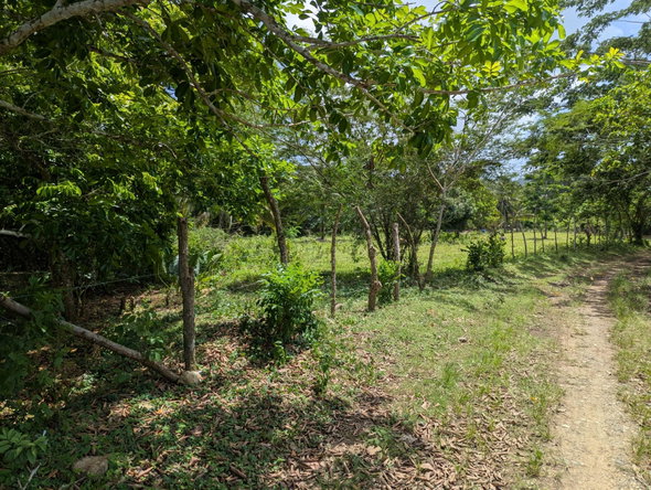 Sixth image of 15 Blue Mtn. Danvers Pen in Danvers Pen, St. Thomas, Jamaica - property is For Sale