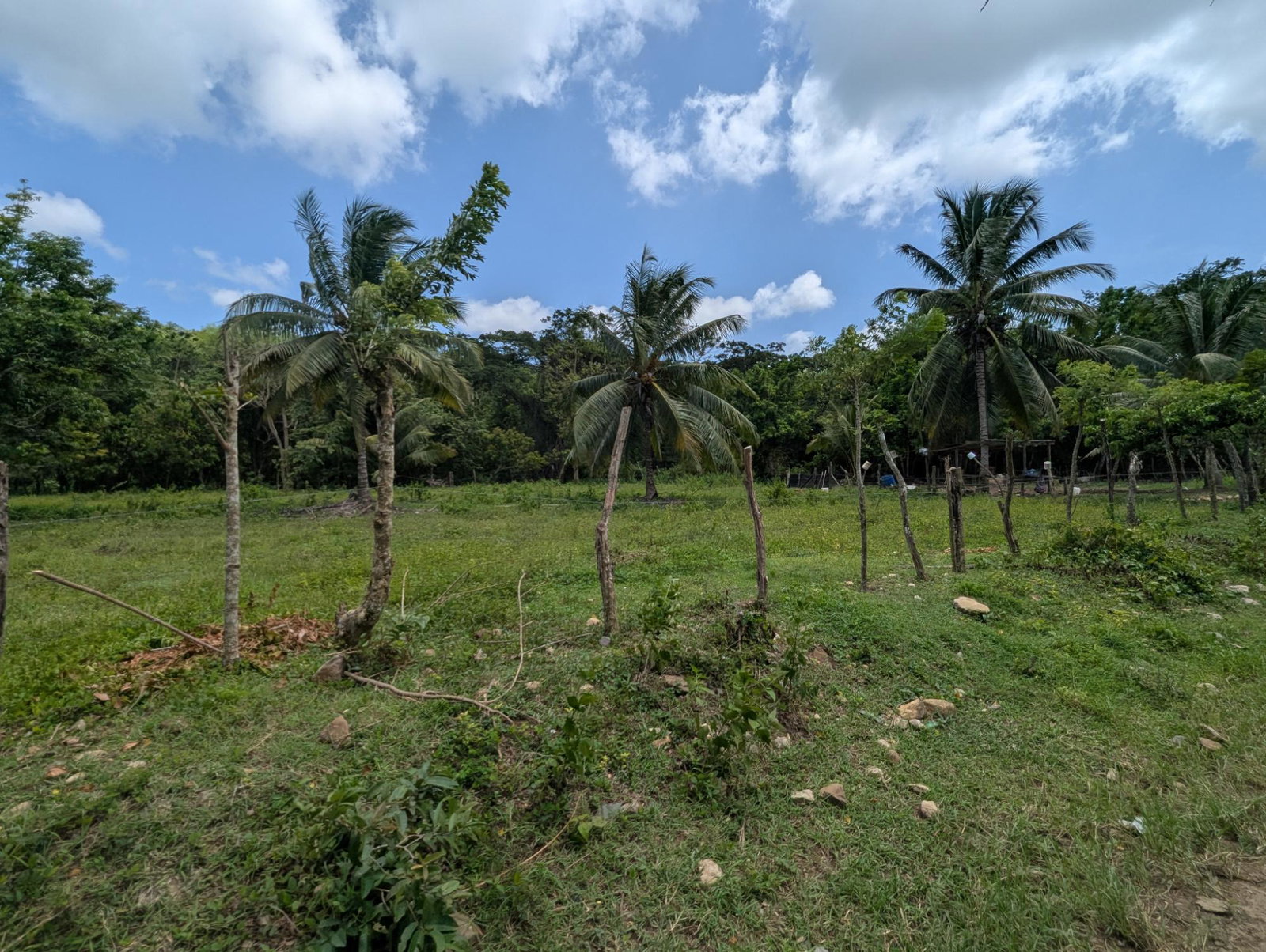 Seventh image of 15 Blue Mtn. Danvers Pen in Danvers Pen, St. Thomas, Jamaica - property is For Sale