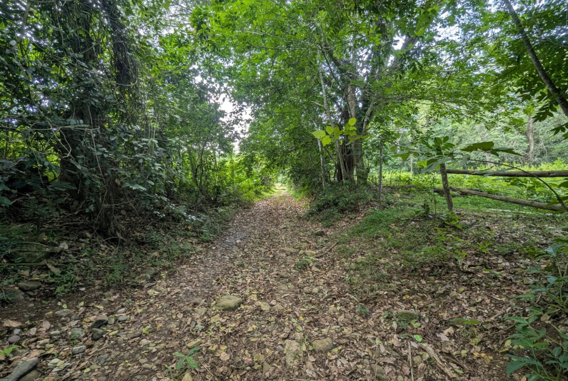Eighth image of 15 Blue Mtn. Danvers Pen in Danvers Pen, St. Thomas, Jamaica - property is For Sale