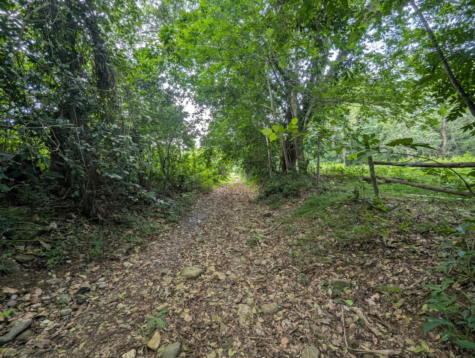 Eighth image of 15 Blue Mtn. Danvers Pen in Danvers Pen, St. Thomas, Jamaica - property is For Sale