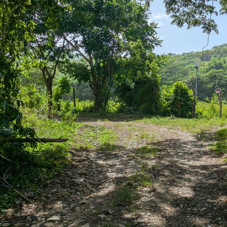 First image of 15 Blue Mtn. Danvers Pen in Danvers Pen, St. Thomas, Jamaica - property is For Sale