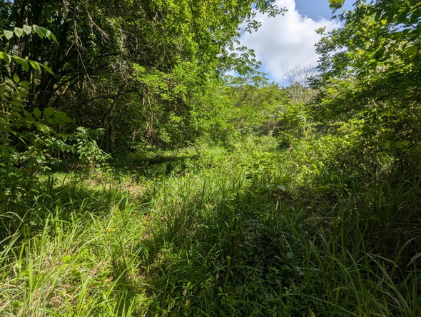 Tenth image of 15 Blue Mtn. Danvers Pen in Danvers Pen, St. Thomas, Jamaica - property is For Sale