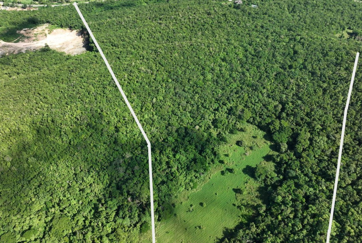 Second image of Eastern Lands, Part of br in Duncans, Trelawny, Jamaica - property is For Sale