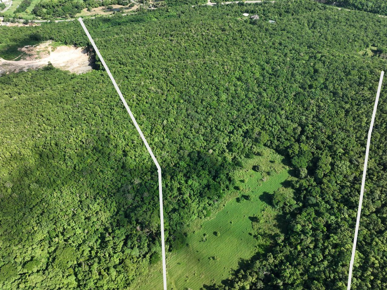 290-Acre-Residential-Lot-with-Ocean-Views-for-Sale-in-Trelawny-Jamaica Second image of Eastern Lands, Part of br in Duncans, Trelawny, Jamaica - property is For Sale