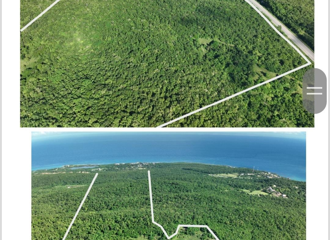 Fourth image of Eastern Lands, Part of br in Duncans, Trelawny, Jamaica - property is For Sale