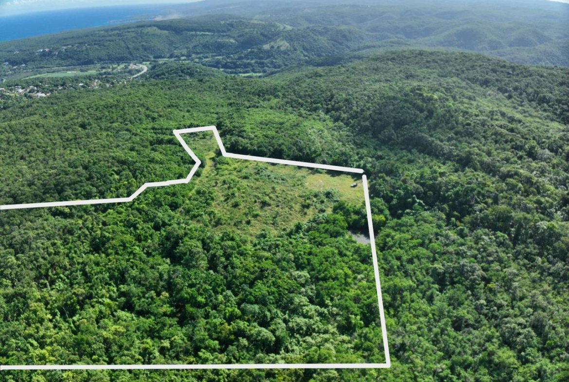 Fifth image of Eastern Lands, Part of br in Duncans, Trelawny, Jamaica - property is For Sale