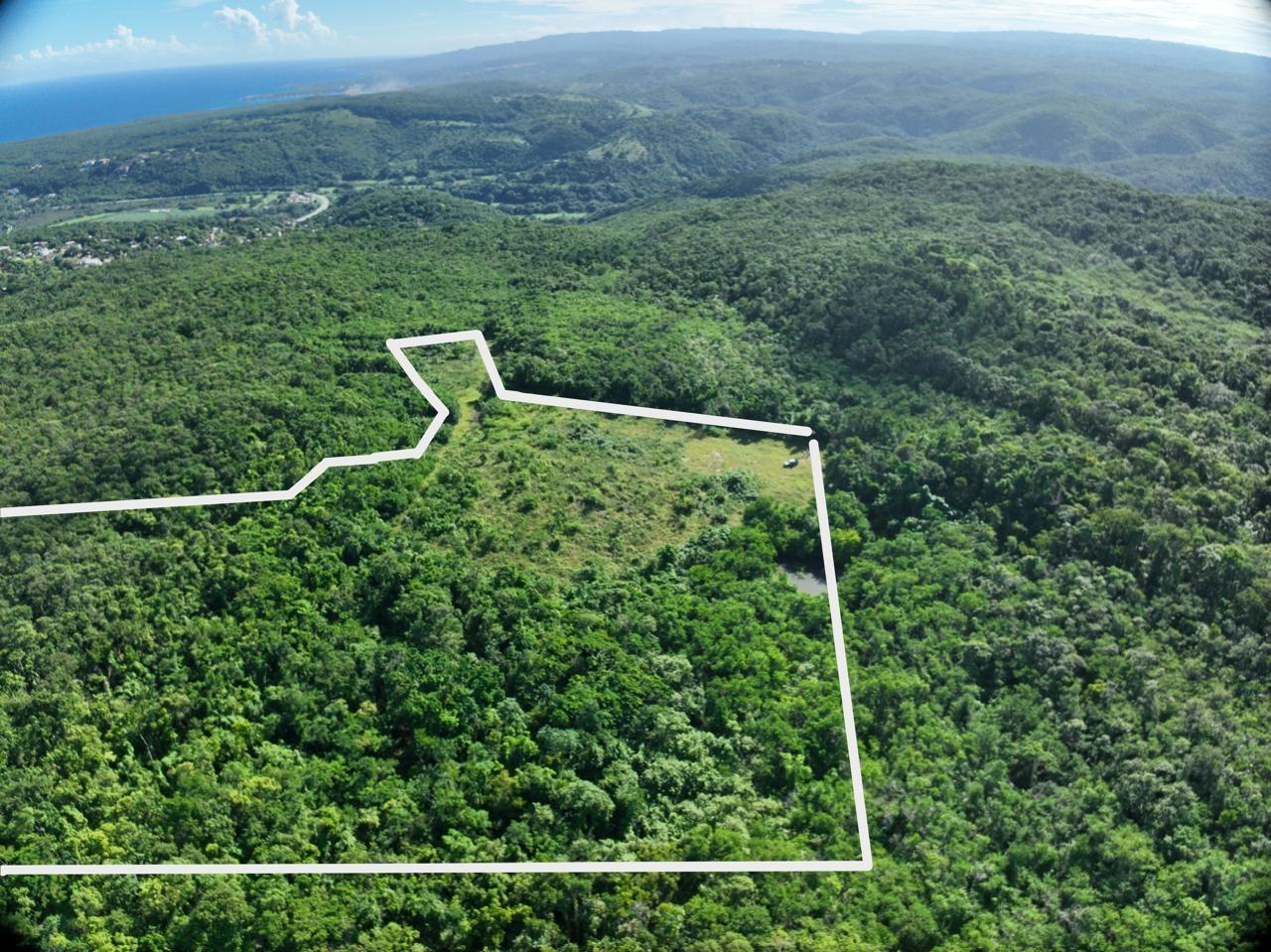 290-Acre-Residential-Lot-with-Ocean-Views-for-Sale-in-Trelawny-Jamaica Fifth image of Eastern Lands, Part of br in Duncans, Trelawny, Jamaica - property is For Sale