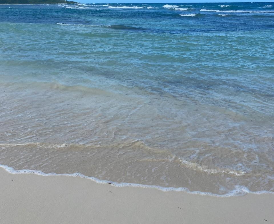 Sixth image of Eastern Lands, Part of br in Duncans, Trelawny, Jamaica - property is For Sale
