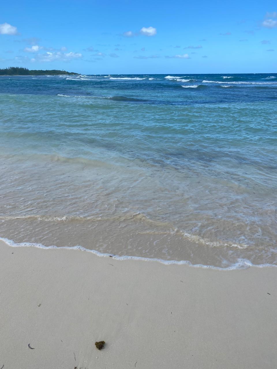 290-Acre-Residential-Lot-with-Ocean-Views-for-Sale-in-Trelawny-Jamaica Sixth image of Eastern Lands, Part of br in Duncans, Trelawny, Jamaica - property is For Sale