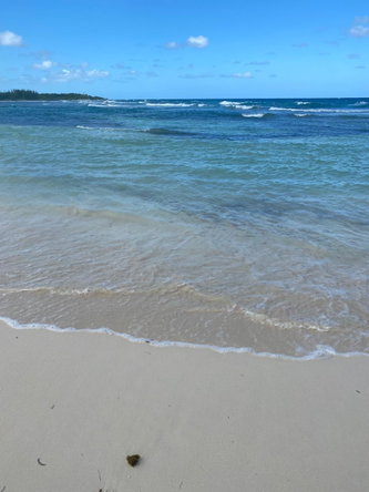 Sixth image of Eastern Lands, Part of br in Duncans, Trelawny, Jamaica - property is For Sale