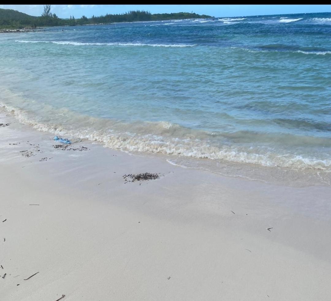 290-Acre-Residential-Lot-with-Ocean-Views-for-Sale-in-Trelawny-Jamaica Seventh image of Eastern Lands, Part of br in Duncans, Trelawny, Jamaica - property is For Sale
