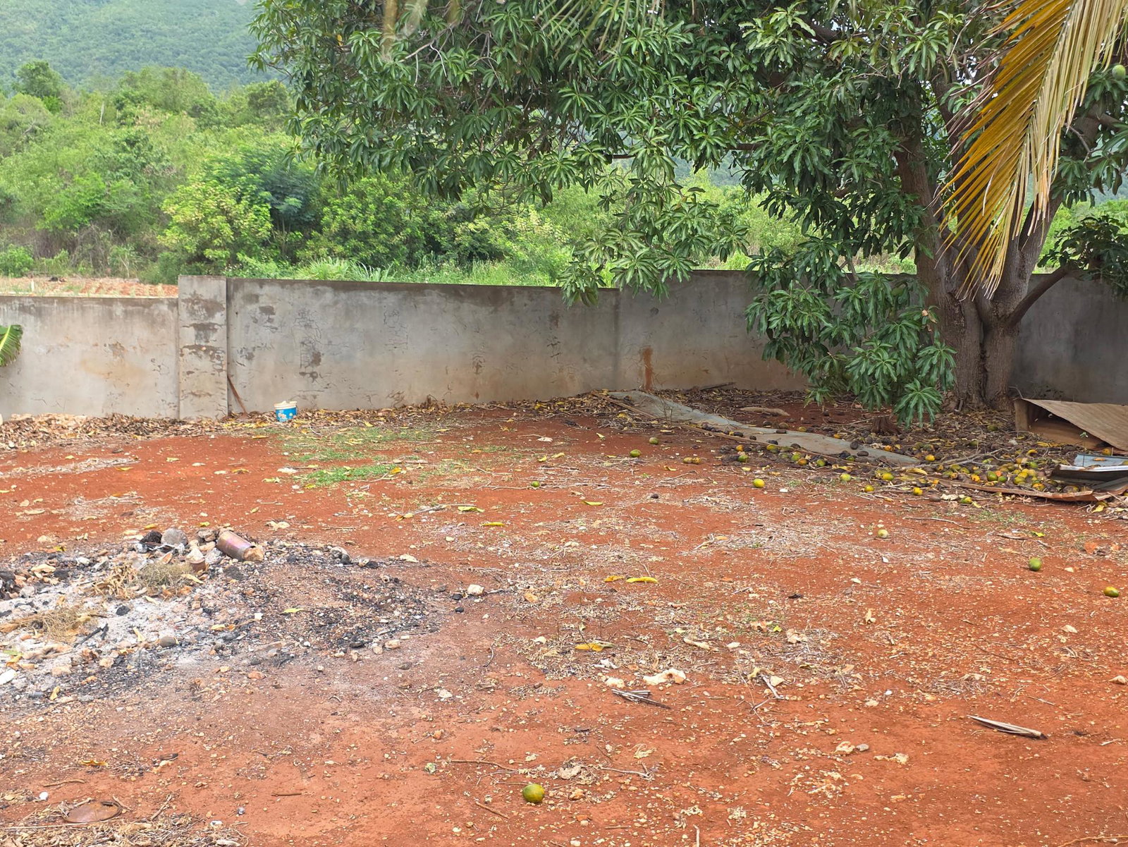 Eleventh image of New Forest in New Forest, Manchester, Jamaica - property is For Sale