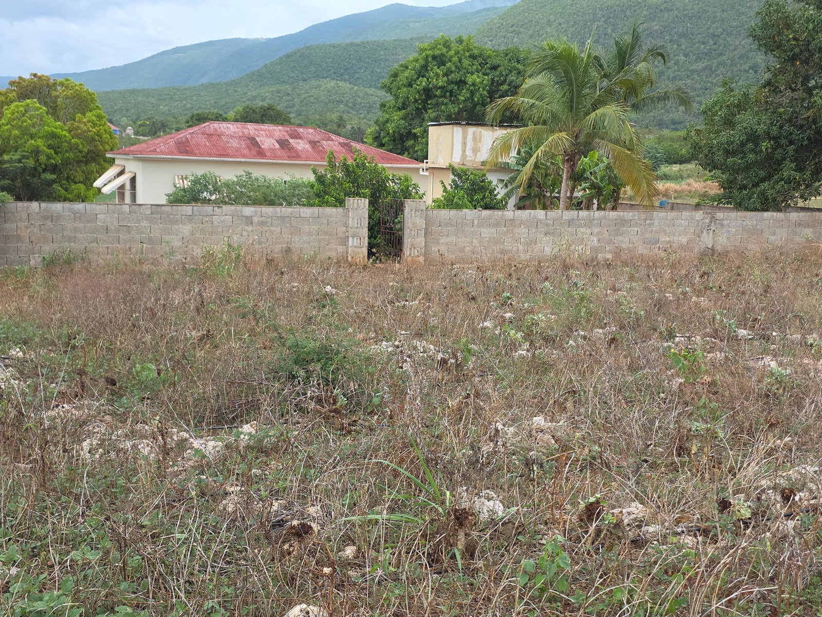 Seventh image of New Forest in New Forest, Manchester, Jamaica - property is For Sale
