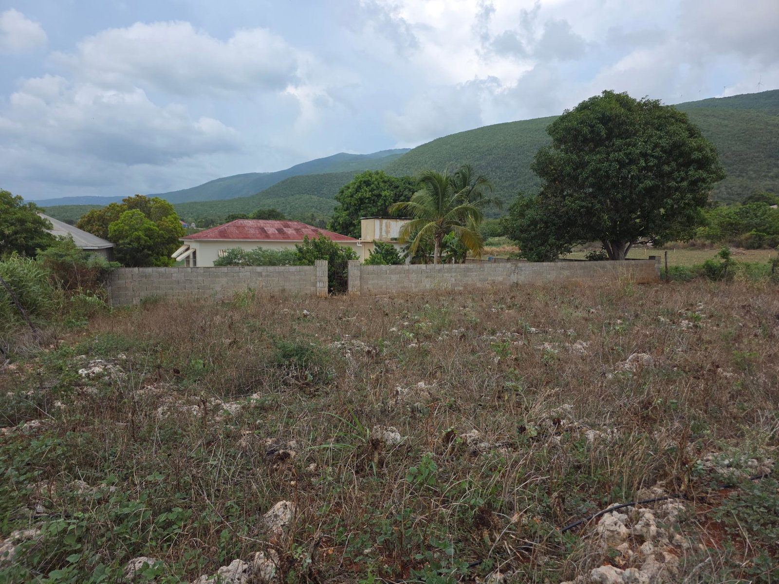 Tenth image of New Forest in New Forest, Manchester, Jamaica - property is For Sale