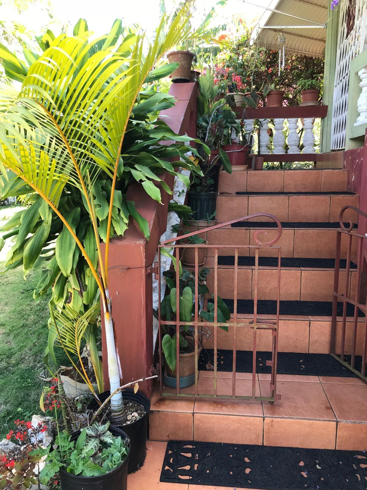 Twenty-Third image of Non Pariel Manchester in Hermitage, Manchester, Jamaica - property is For Sale