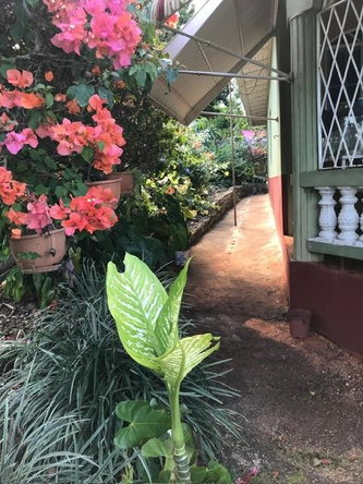 Twenty-Fourth image of Non Pariel Manchester in Hermitage, Manchester, Jamaica - property is For Sale