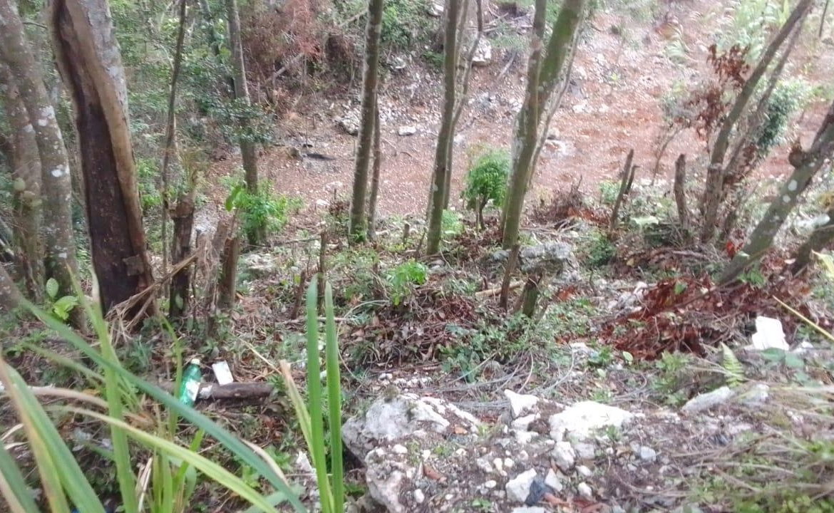 Third image of Swain Spring Road in Red Hills, St. Andrew, Jamaica - property is For Sale