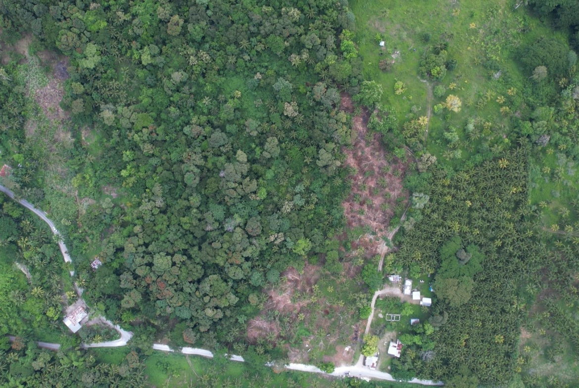 Second image of Crescent, Free Hill in Free Hill, St. Mary, Jamaica - property is For Sale