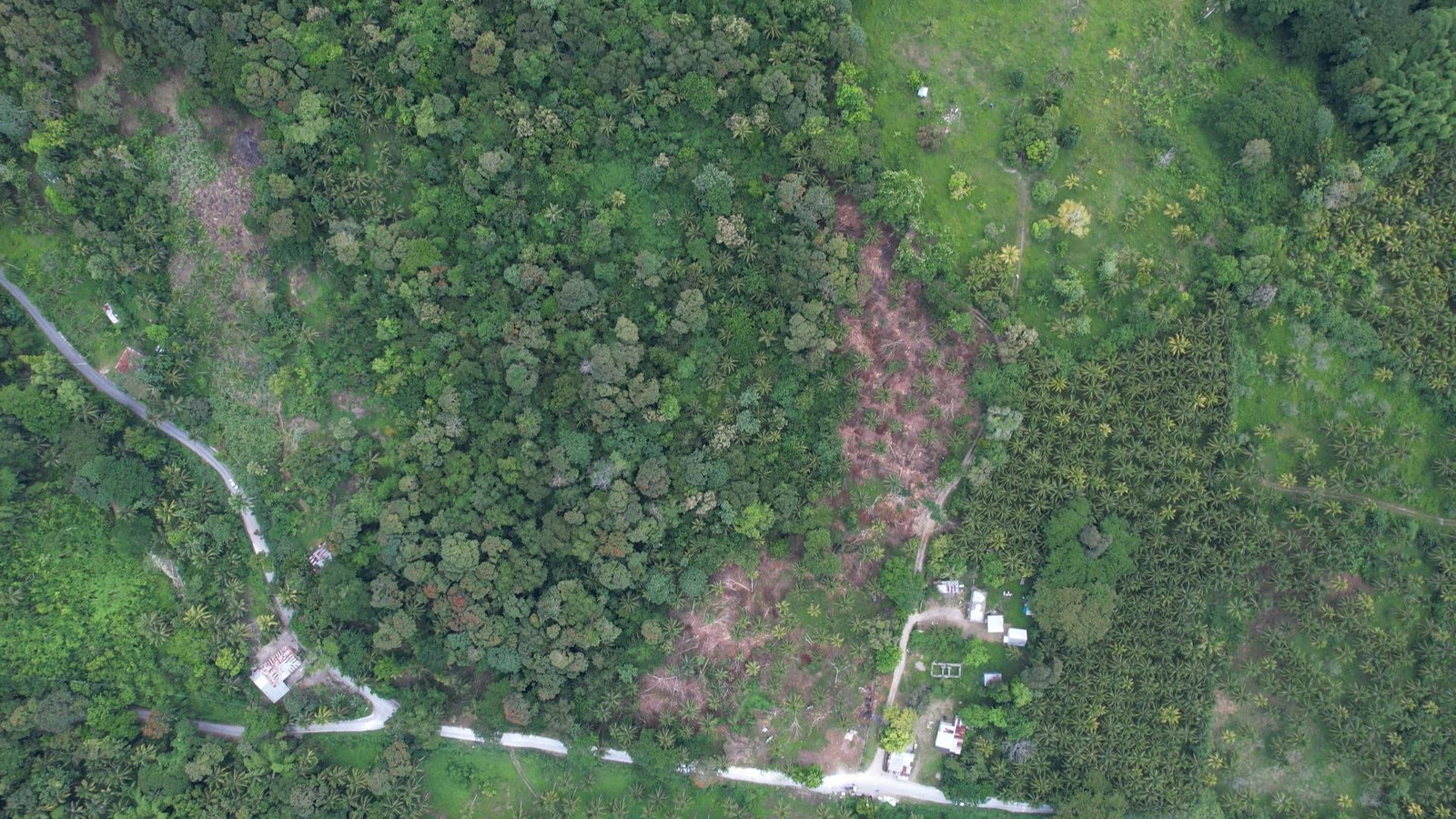 Second image of Crescent, Free Hill in Free Hill, St. Mary, Jamaica - property is For Sale