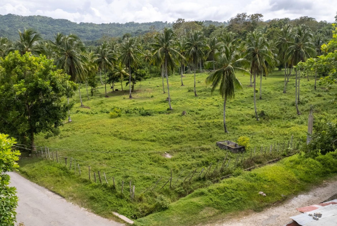 Third image of Crescent, Free Hill in Free Hill, St. Mary, Jamaica - property is For Sale