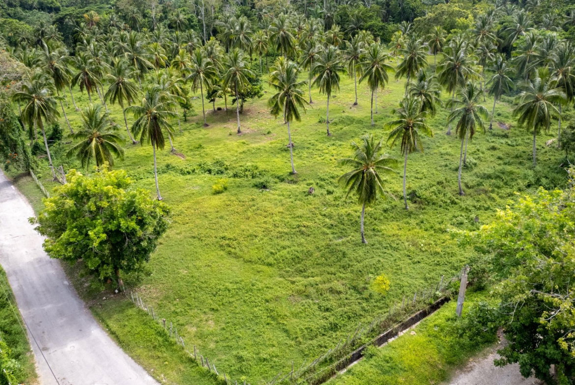 Fourth image of Crescent, Free Hill in Free Hill, St. Mary, Jamaica - property is For Sale