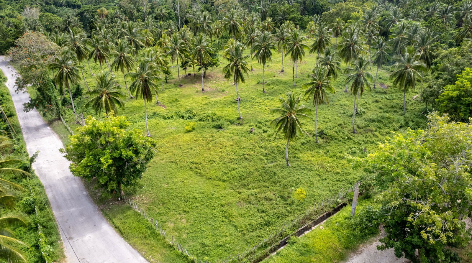 Fourth image of Crescent, Free Hill in Free Hill, St. Mary, Jamaica - property is For Sale