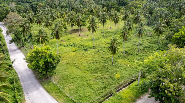 Fourth image of Crescent, Free Hill in Free Hill, St. Mary, Jamaica - property is For Sale