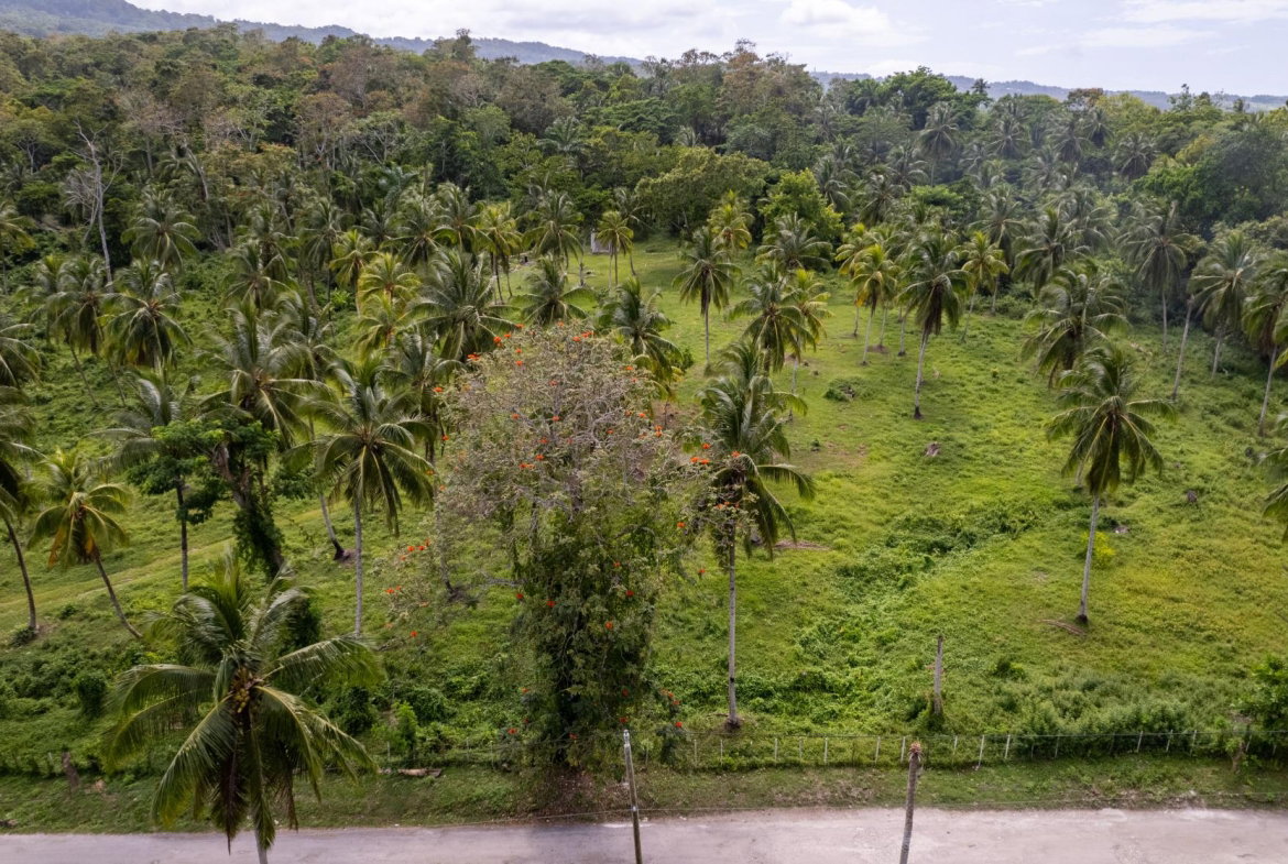 Fifth image of Crescent, Free Hill in Free Hill, St. Mary, Jamaica - property is For Sale
