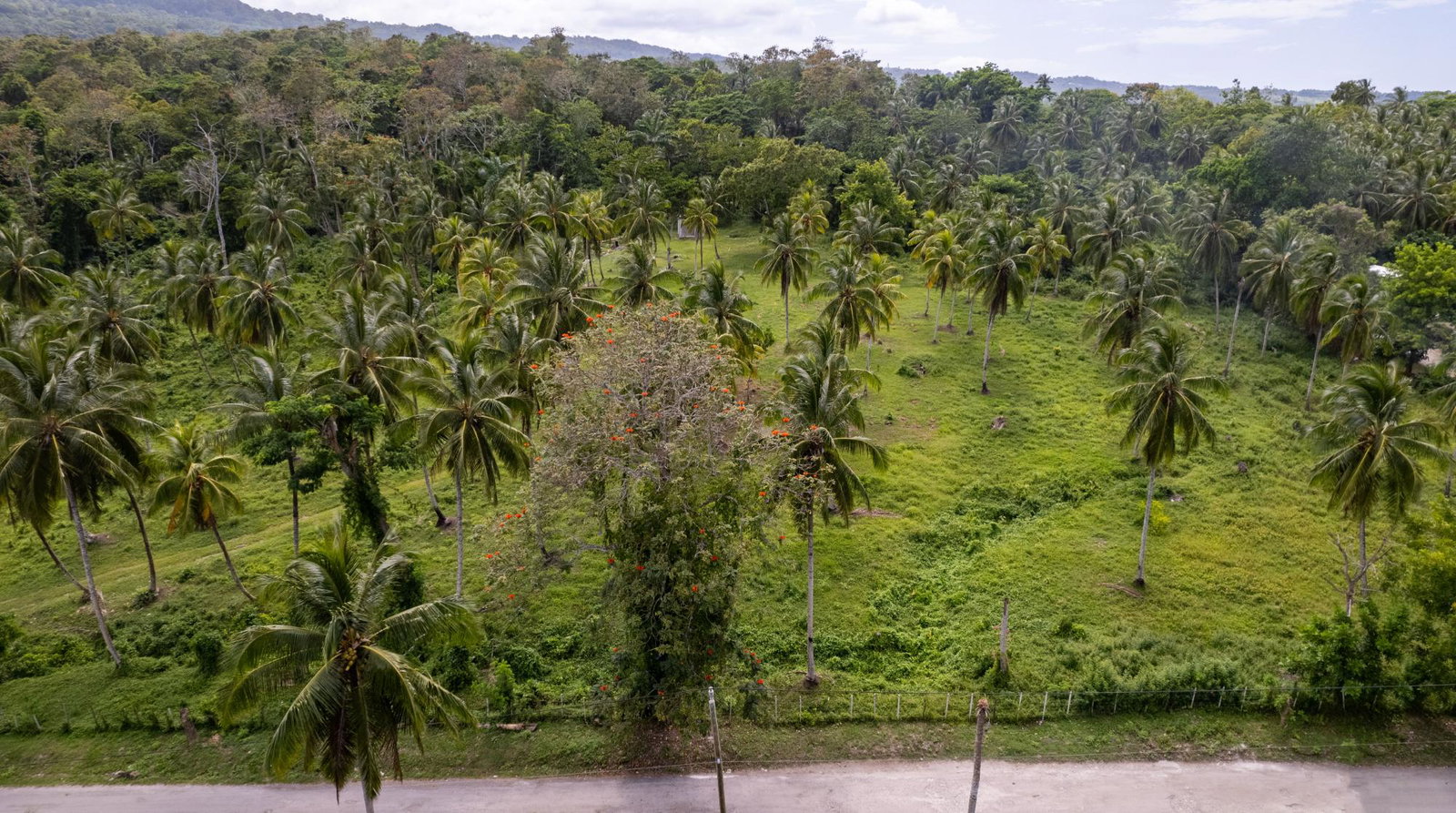Fifth image of Crescent, Free Hill in Free Hill, St. Mary, Jamaica - property is For Sale