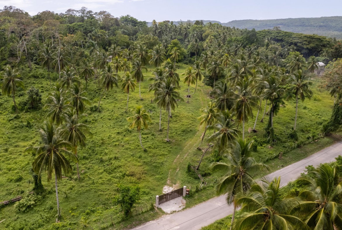 Sixth image of Crescent, Free Hill in Free Hill, St. Mary, Jamaica - property is For Sale