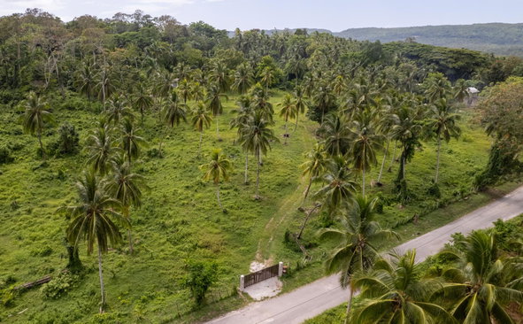 Sixth image of Crescent, Free Hill in Free Hill, St. Mary, Jamaica - property is For Sale