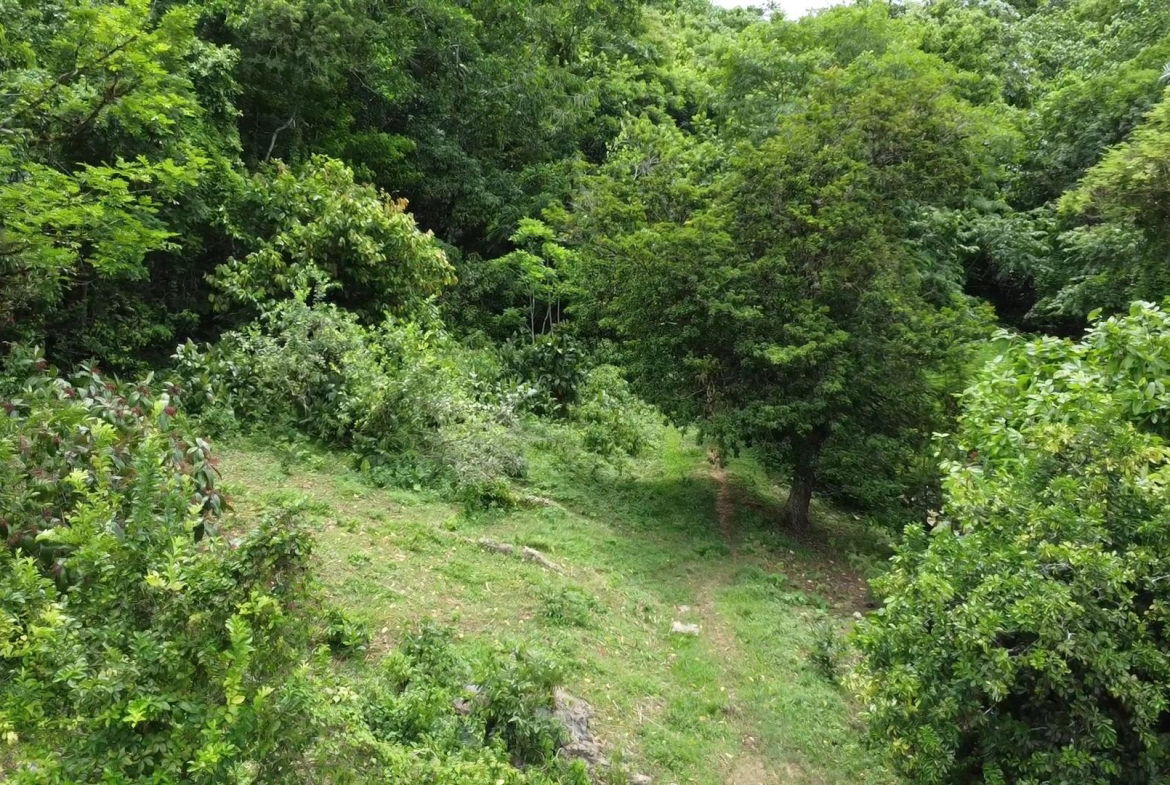Second image of Part of Freeman Hall in Freeman's Halll, Trelawny, Jamaica - property is For Sale
