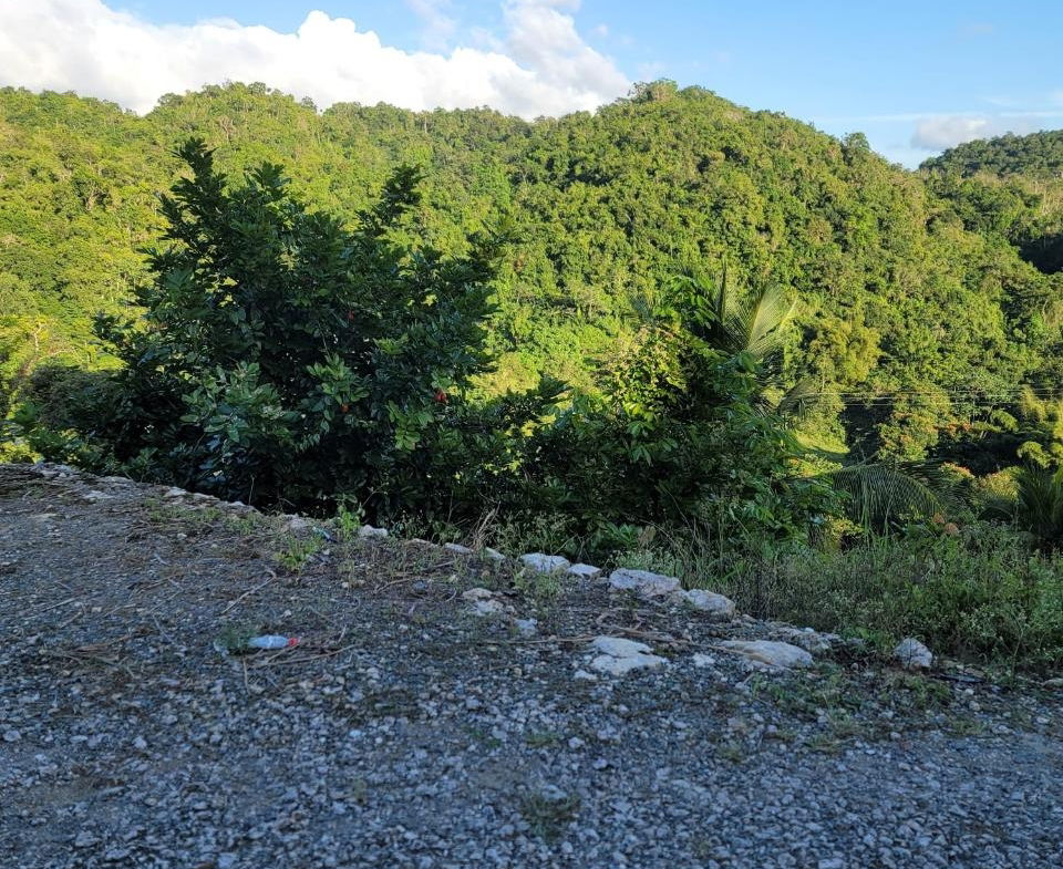 Fourteenth image of Part of Freeman Hall in Freeman's Halll, Trelawny, Jamaica - property is For Sale