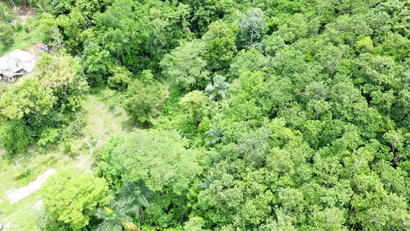 Third image of Part of Freeman Hall in Freeman's Halll, Trelawny, Jamaica - property is For Sale