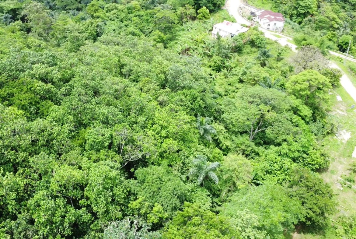 Fourth image of Part of Freeman Hall in Freeman's Halll, Trelawny, Jamaica - property is For Sale