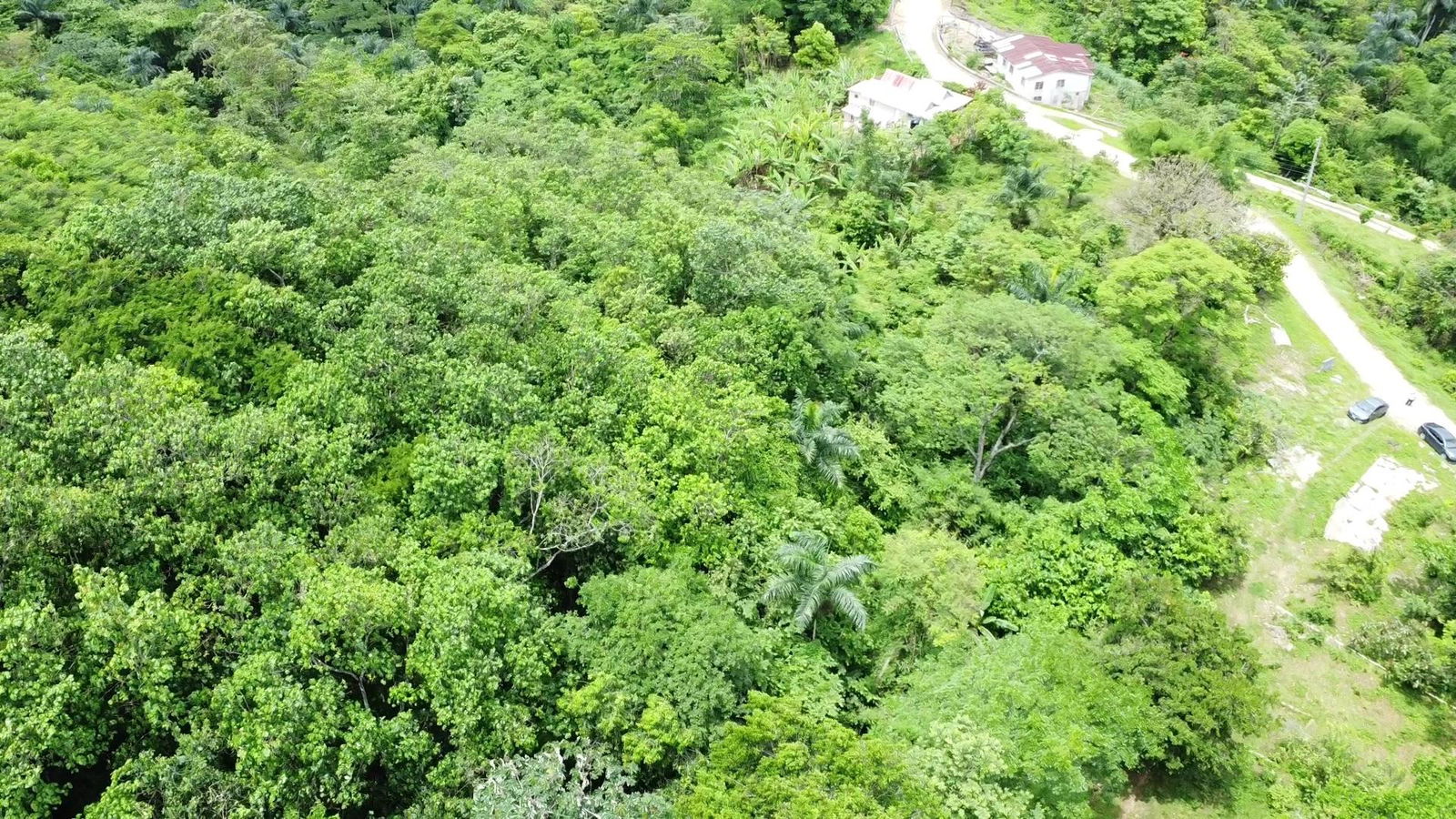 Fourth image of Part of Freeman Hall in Freeman's Halll, Trelawny, Jamaica - property is For Sale