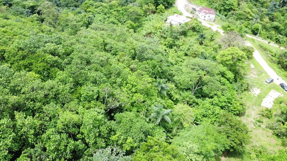 Fourth image of Part of Freeman Hall in Freeman's Halll, Trelawny, Jamaica - property is For Sale