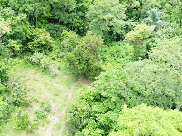 First image of Part of Freeman Hall in Freeman's Halll, Trelawny, Jamaica - property is For Sale