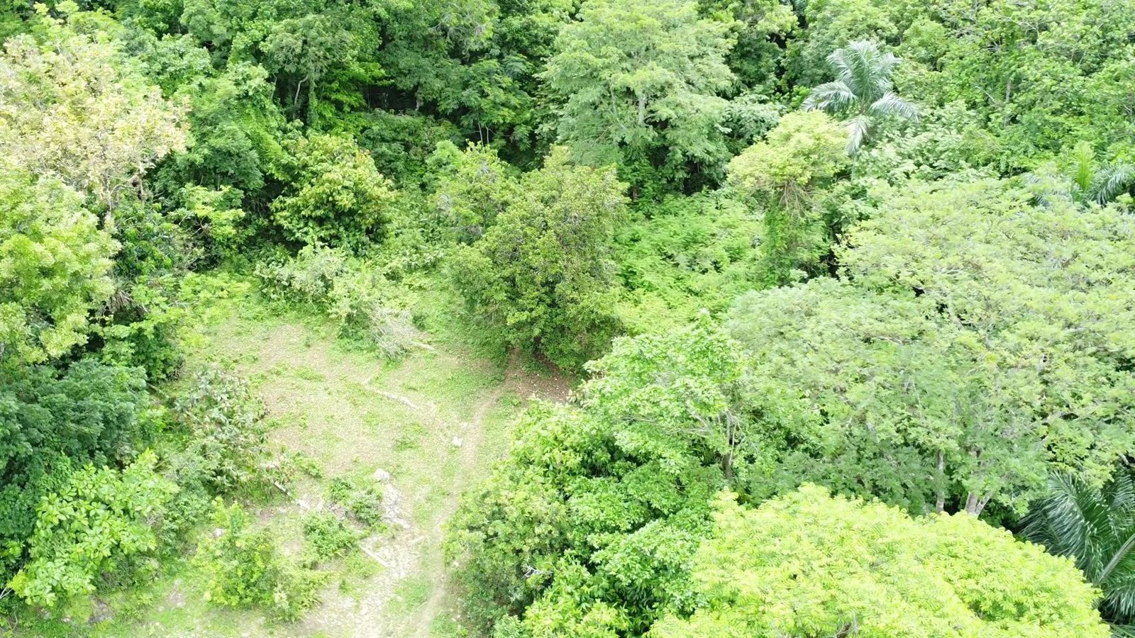 First image of Part of Freeman Hall in Freeman's Halll, Trelawny, Jamaica - property is For Sale