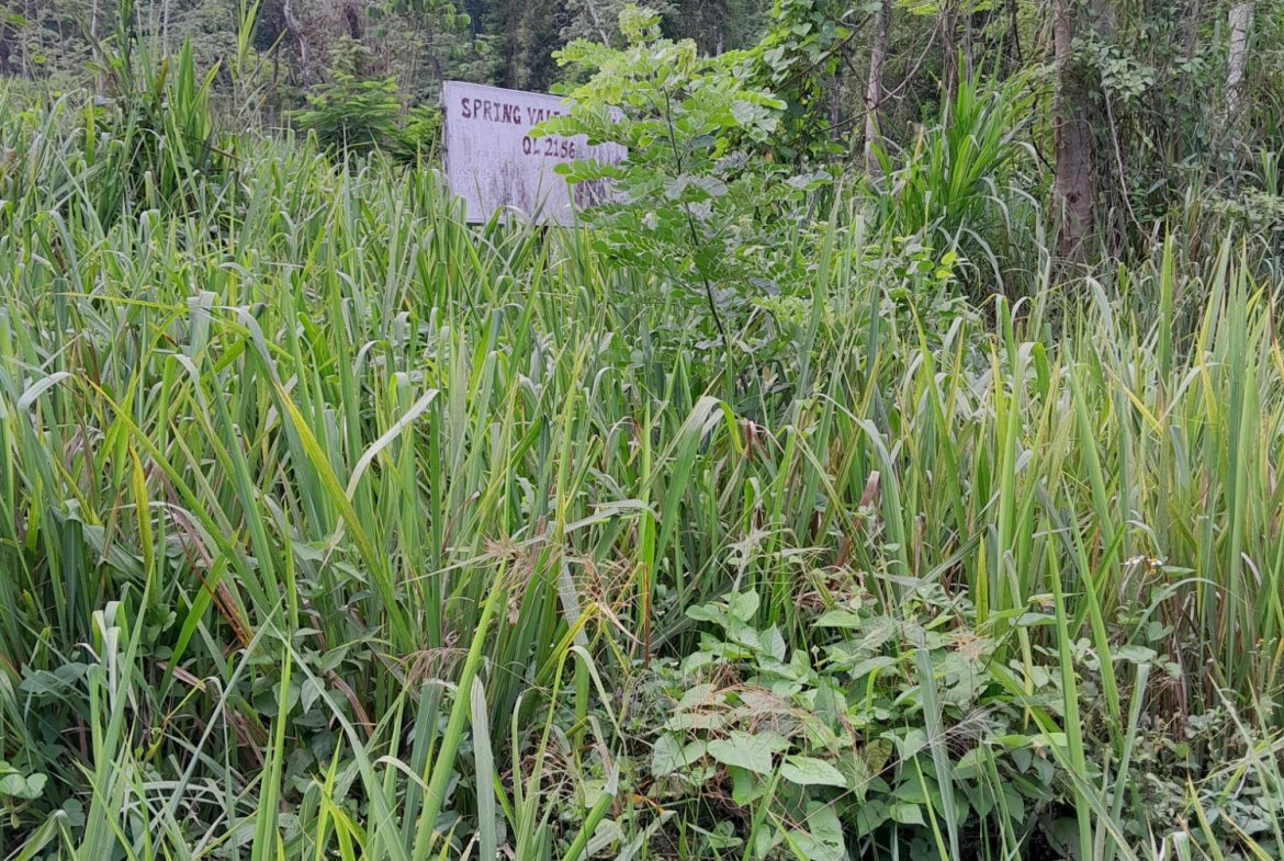 Fourth image of Lot 4- Spring Vale, Bog Walk St. in Bog Walk, St. Catherine, Jamaica - property is For Sale