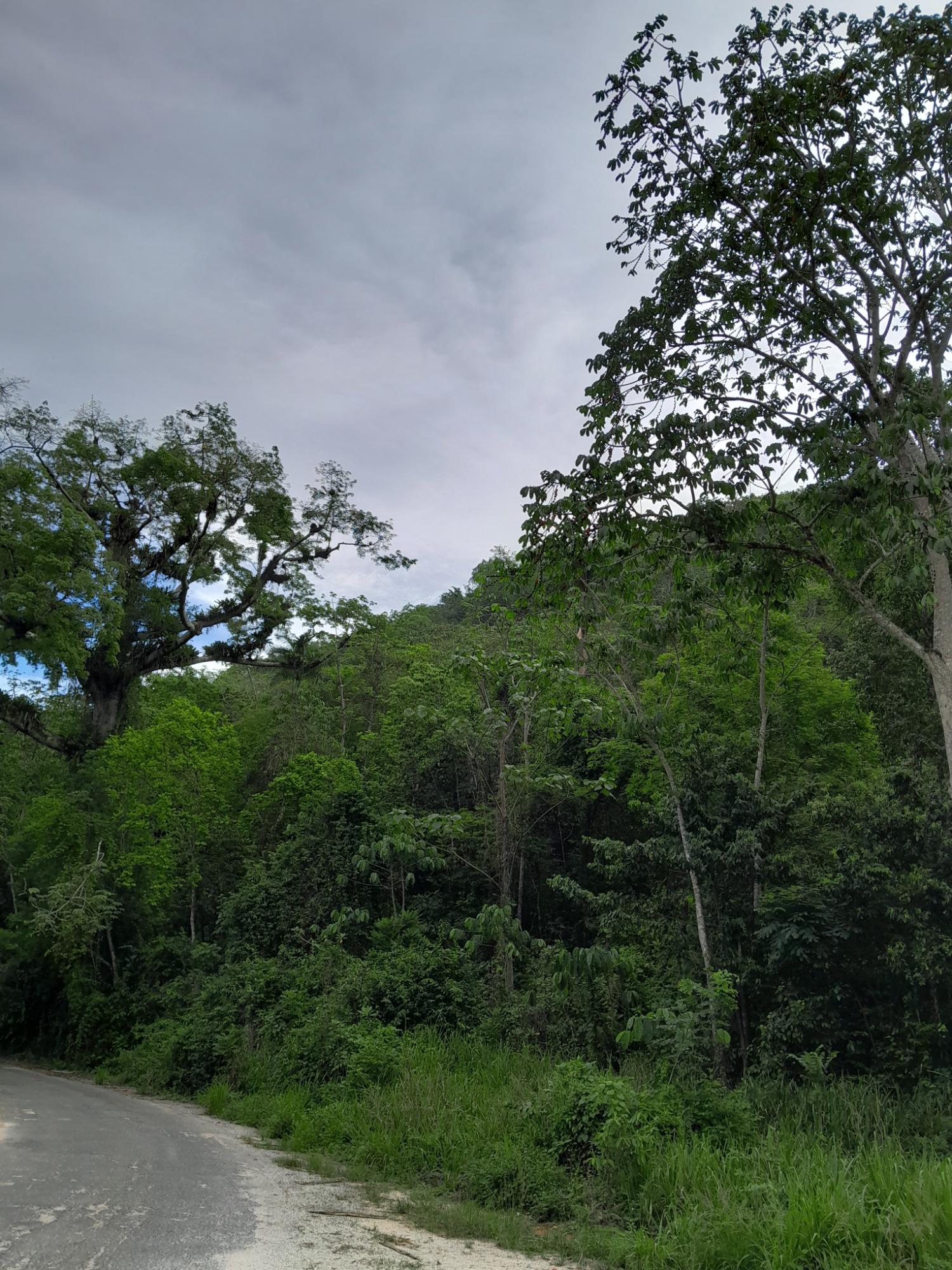 Fifth image of Lot 4- Spring Vale, Bog Walk St. in Bog Walk, St. Catherine, Jamaica - property is For Sale