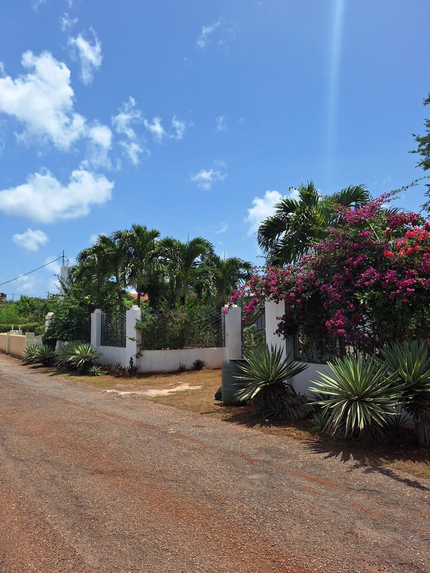 Second image of Part of Brinkley in Nain, St. Elizabeth, Jamaica - property is For Sale