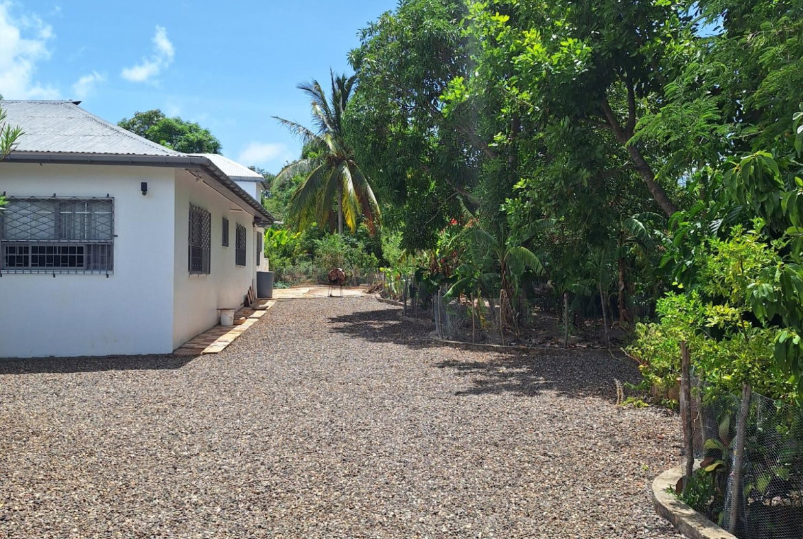 Fourth image of Part of Brinkley in Nain, St. Elizabeth, Jamaica - property is For Sale