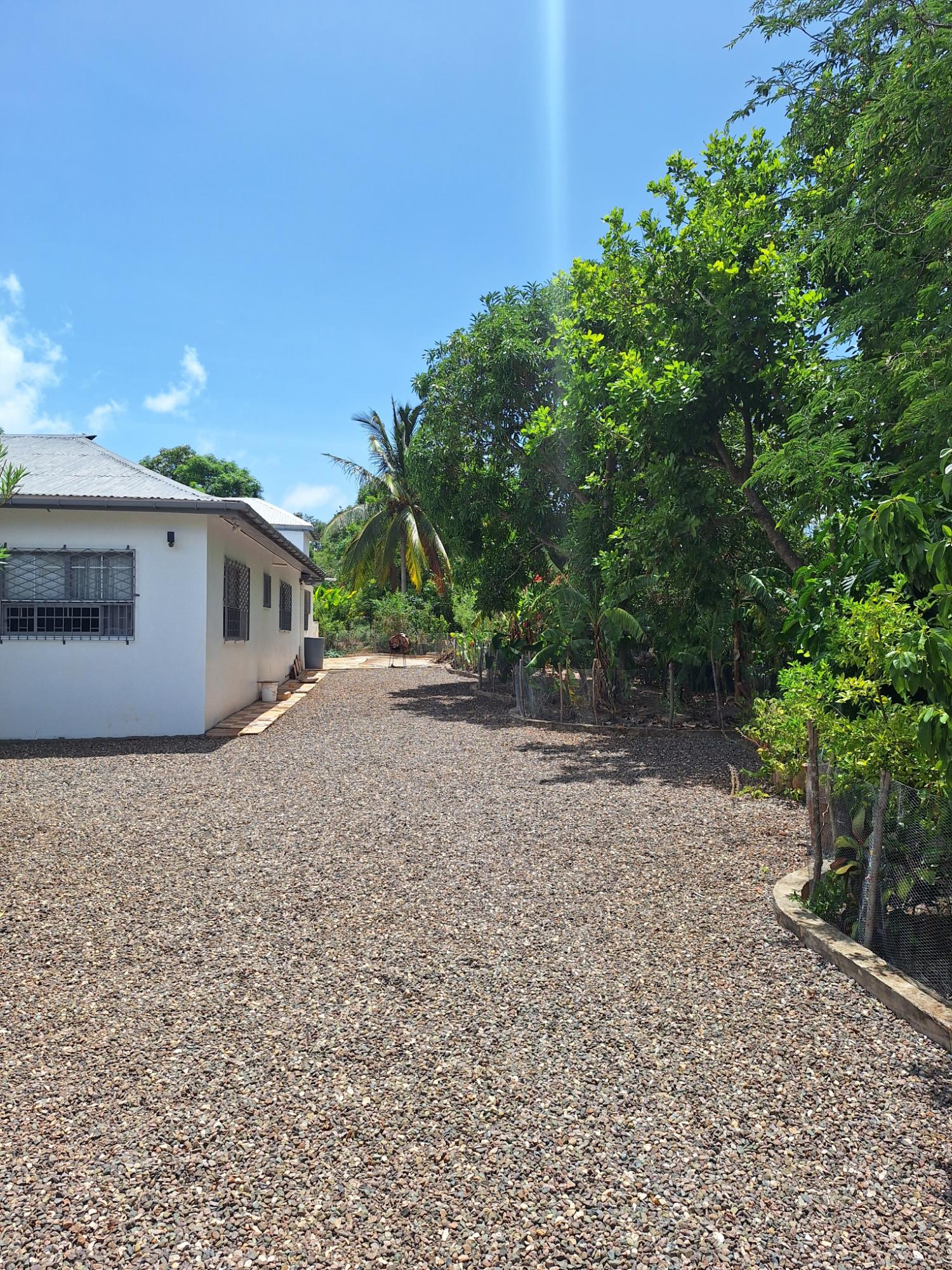 Fourth image of Part of Brinkley in Nain, St. Elizabeth, Jamaica - property is For Sale