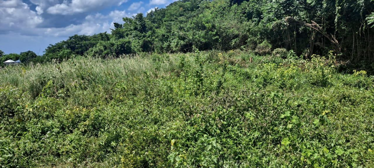 Third image of Whitehall st , Blackriver in Whitehall, St. Elizabeth, Jamaica - property is For Sale