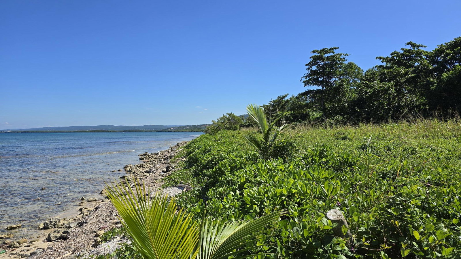 Eighteenth image of 53 Flamingo Beach, Trelawny in Falmouth, Trelawny, Jamaica - property is For Sale