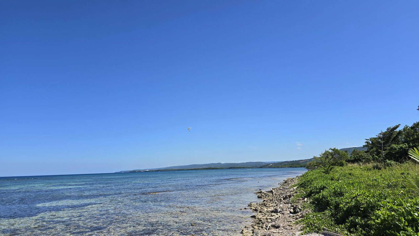 Nineteenth image of 53 Flamingo Beach, Trelawny in Falmouth, Trelawny, Jamaica - property is For Sale